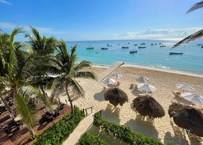 The Reef Coco & Resort Playa del Carmen