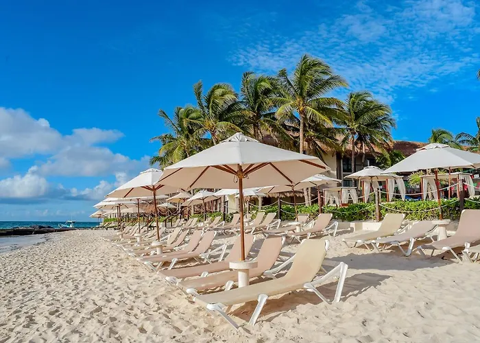 The Reef Coco & 4* Playa del Carmen