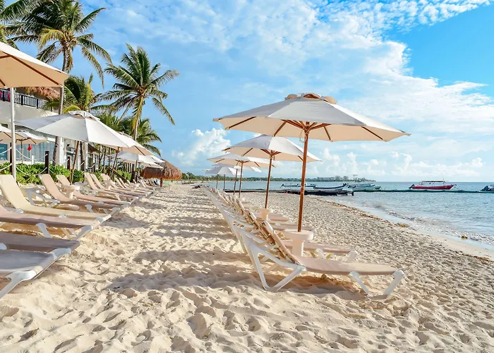 Resort The Reef Coco &